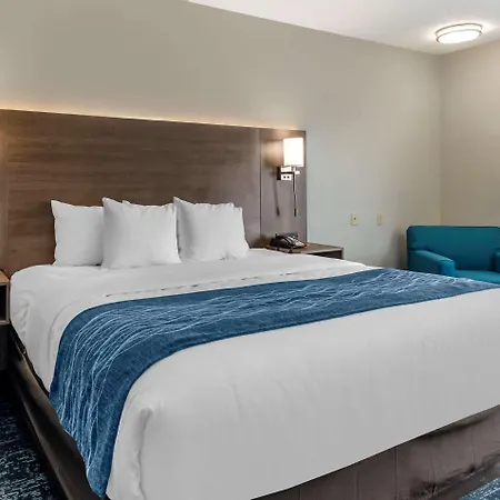 Comfort Inn & Suites Troutville - Roanoke North - Daleville Exterior foto